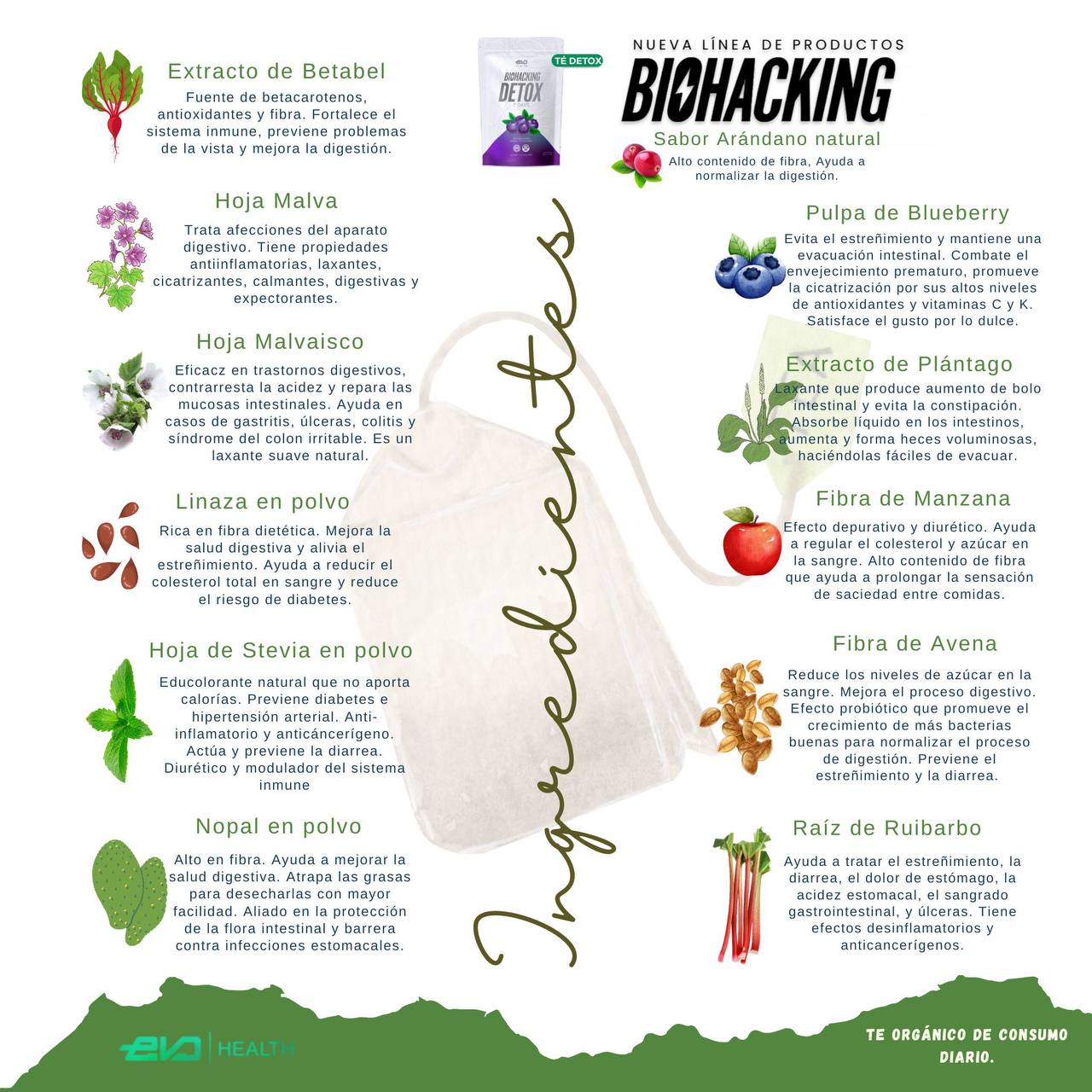 Te Detox 7 días- El ritual detox que tu cuerpo y tu alma pedían en silencio.